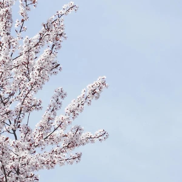 凤凰娱乐捕鱼游戏